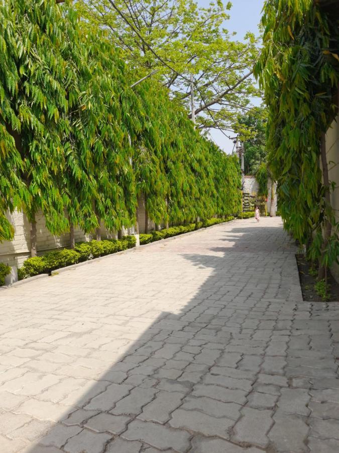Ashoka Resort & Banquets Begusarai Exterior foto